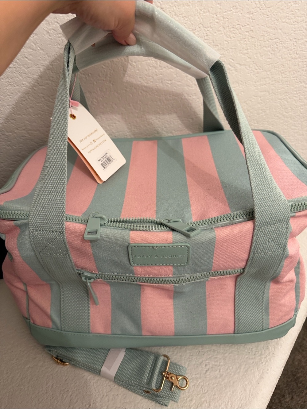 Poppy and Peony Mint and Pink Striped Canvas cooler Bag
